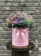 Цветочная композиция из Гипсофила и Розы в шляпной коробке в Волжский
