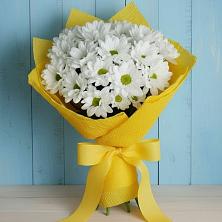 Букет цветов из:  Хризантемы в Волжский