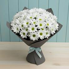 Букет цветов из:  Хризантемы в Волжский