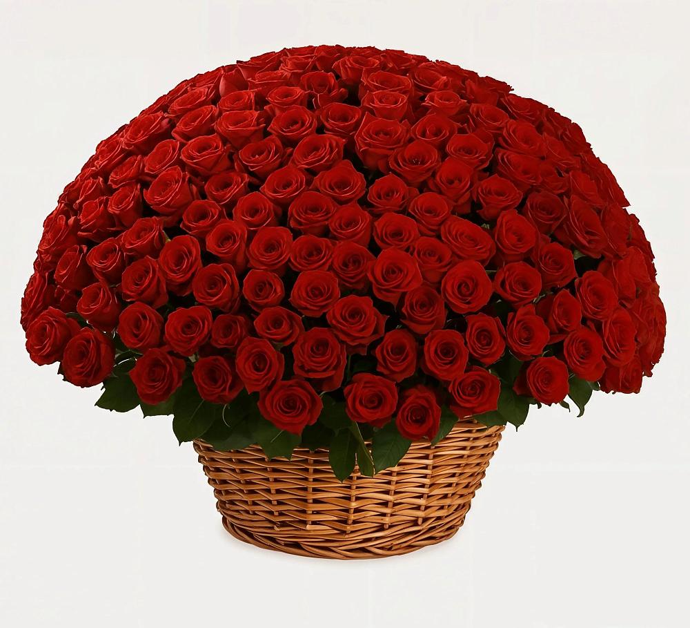 Премиум букет из: Розы в Волжский