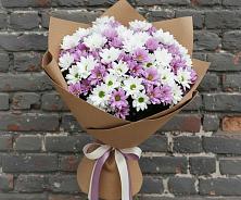 Букет цветов из:  Хризантемы в Волжский