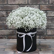 Цветочная композиция из Гипсофила в шляпной коробке в Волжский