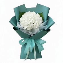 Букет цветов из:  Гортензия в Волжский